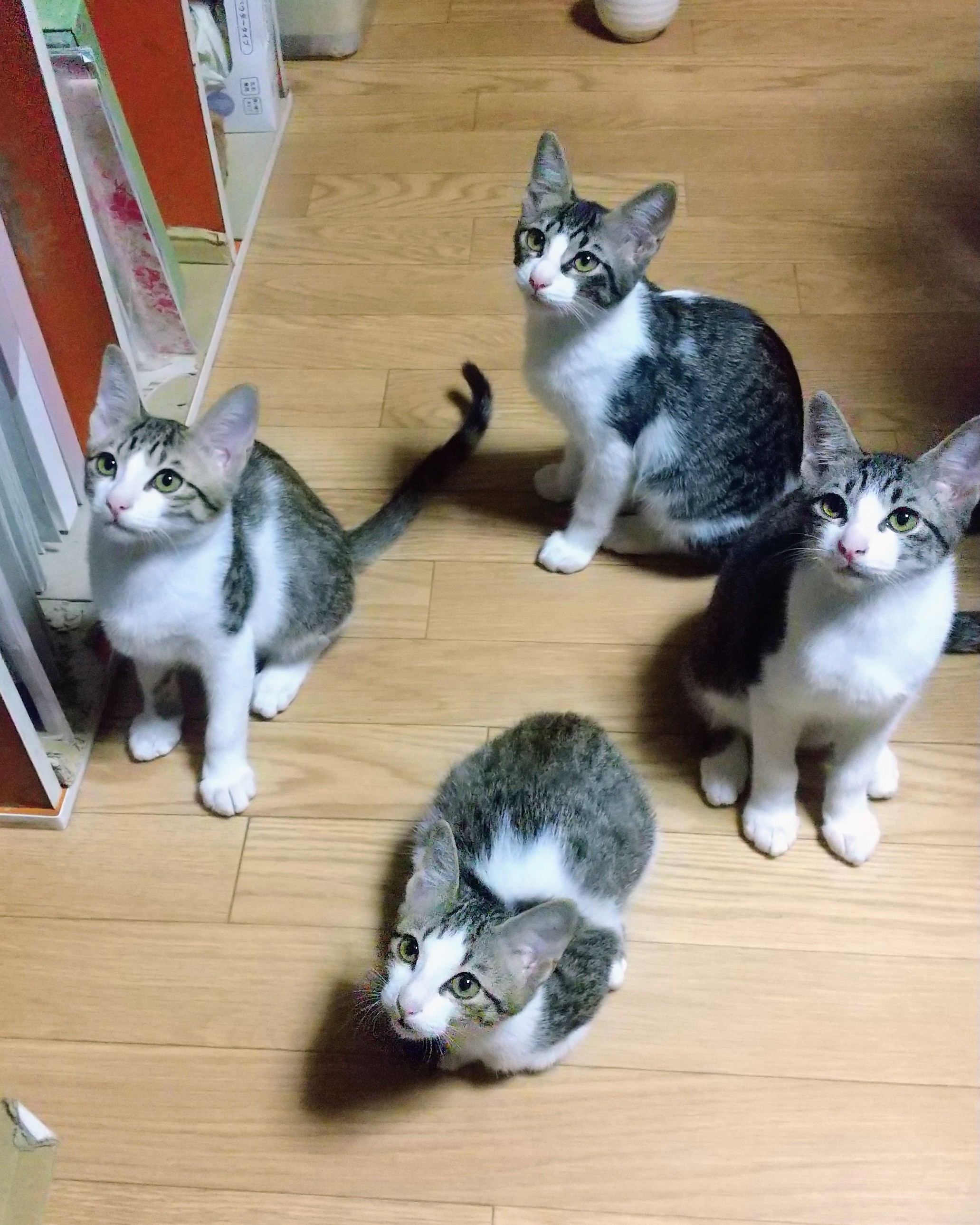 No.19000の写真