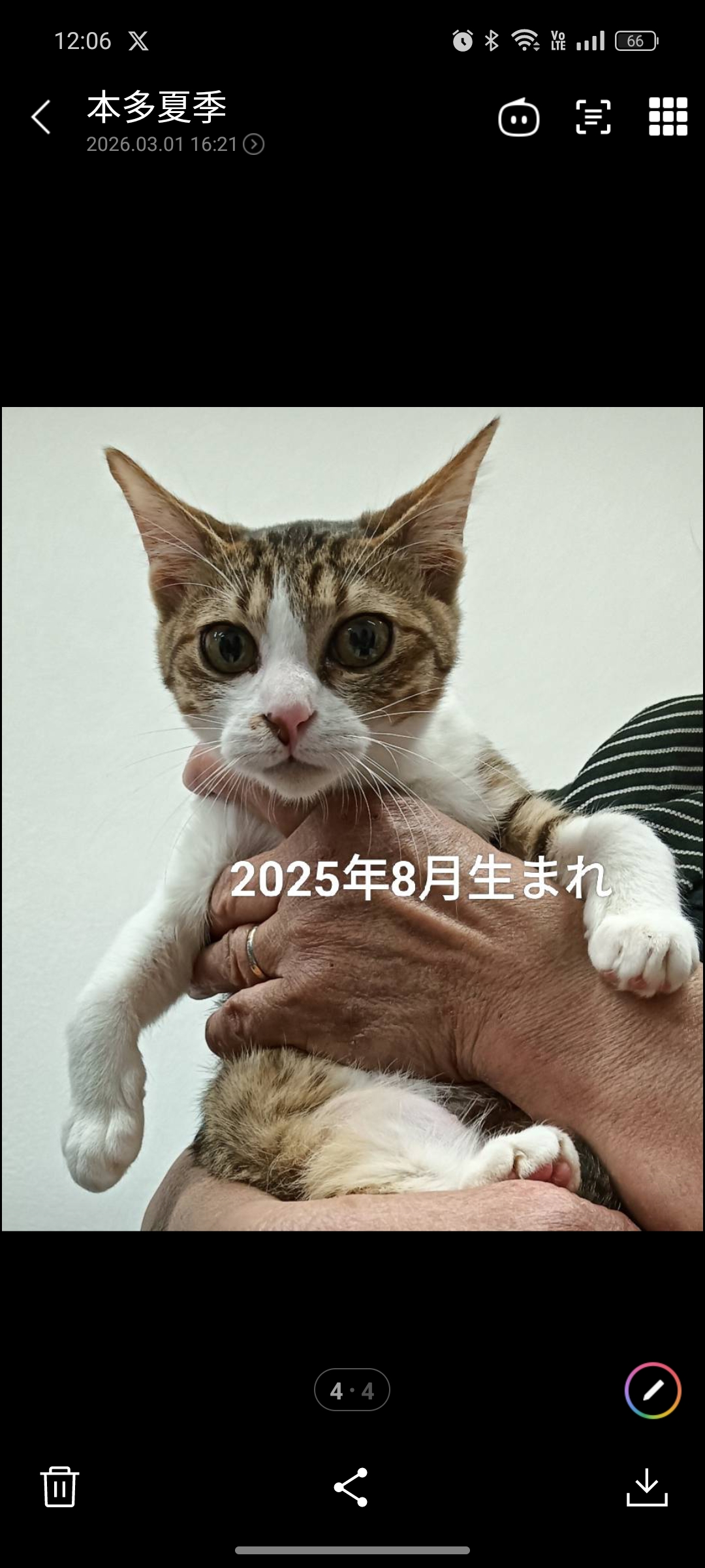 No.19560の写真
