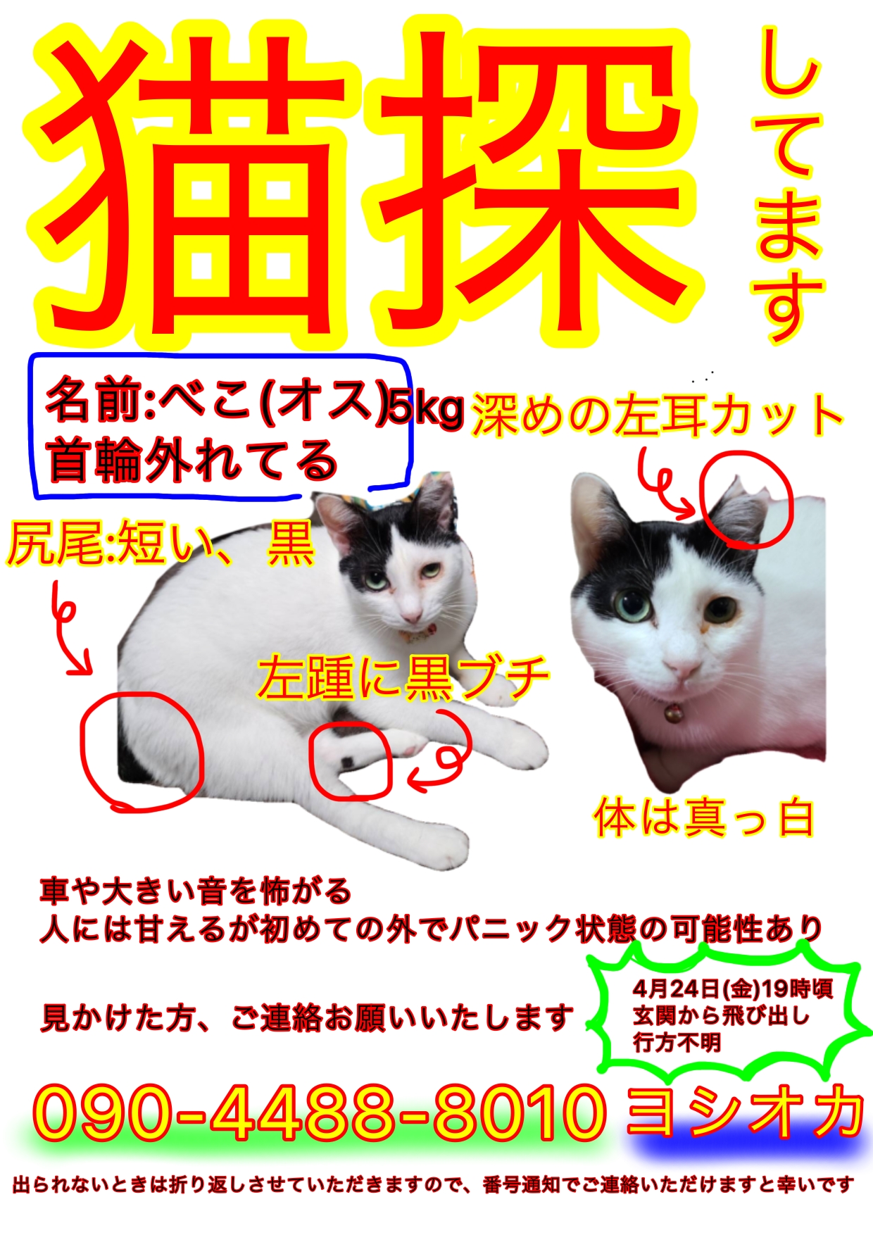 No.19565の写真