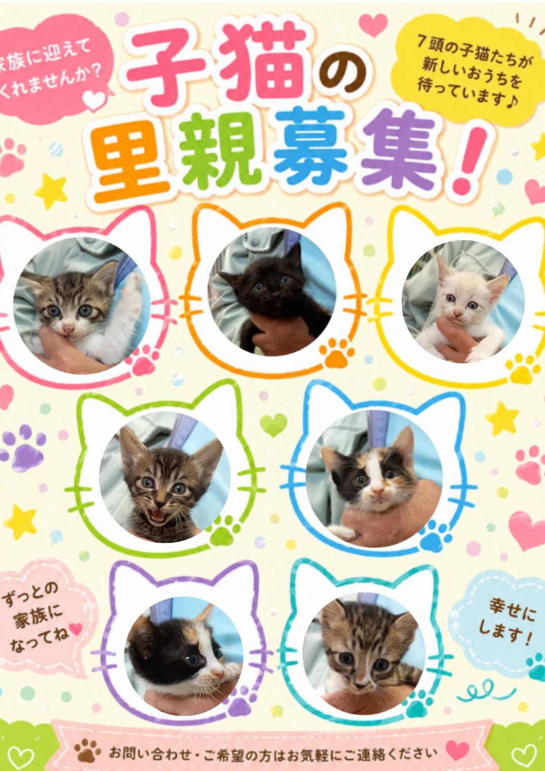 No.19621の写真