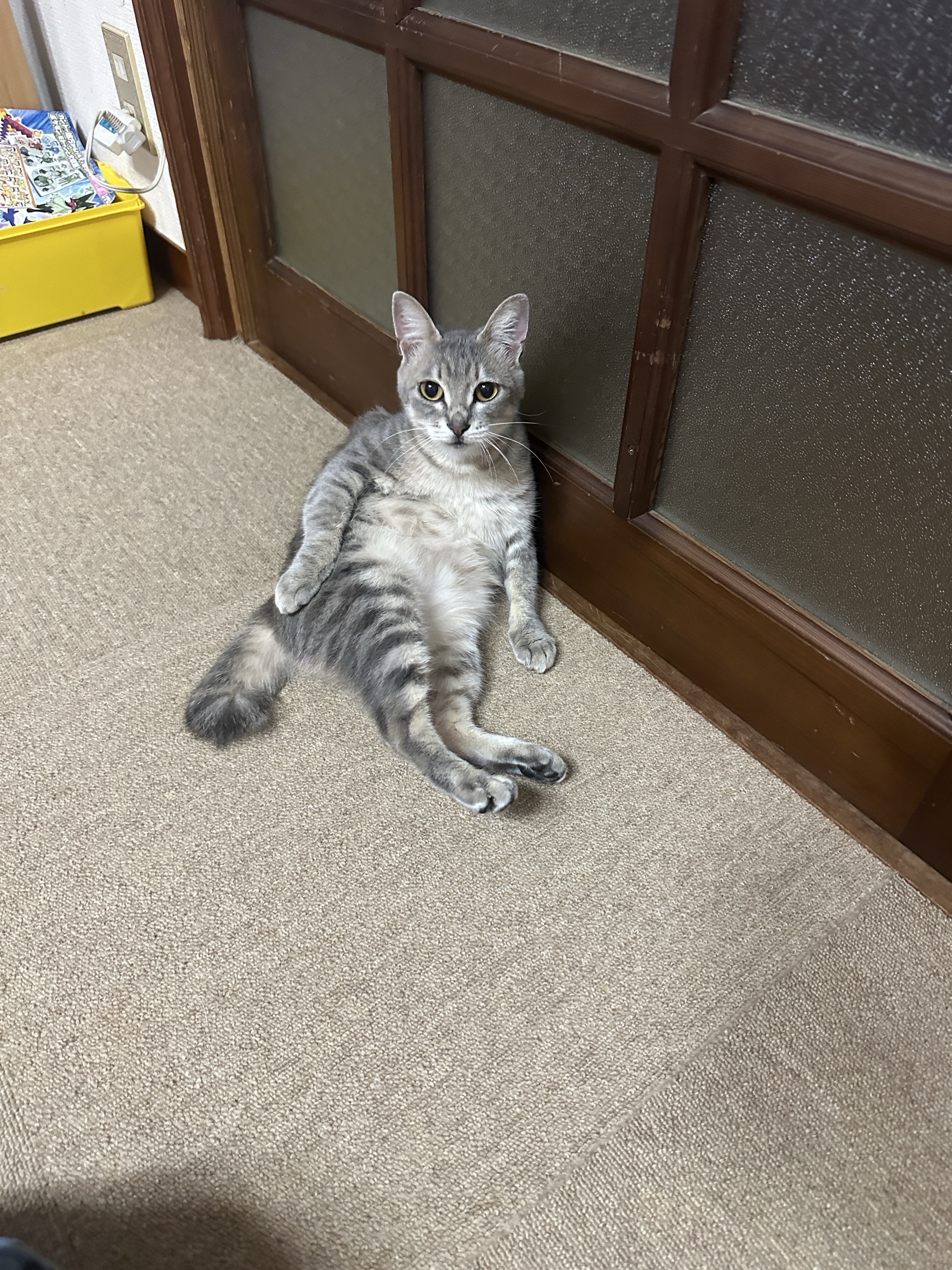 No.19583の写真