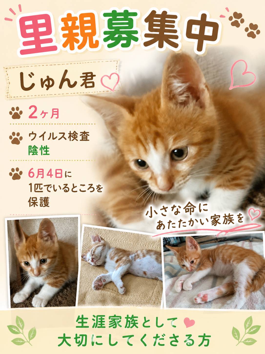 No.19701の写真
