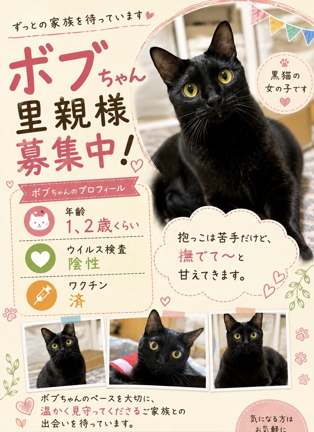 No.19806の写真