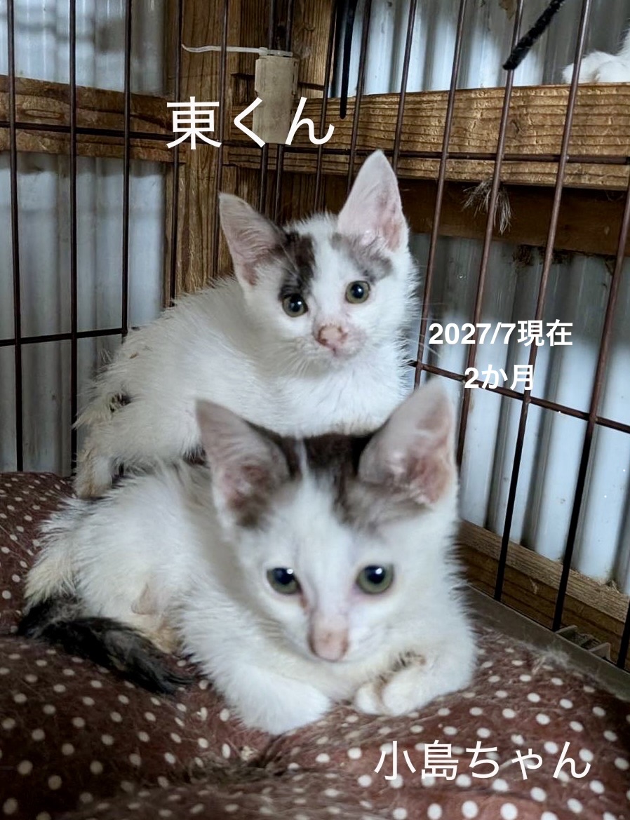 No.19829の写真