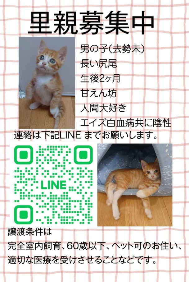 No.19848の写真