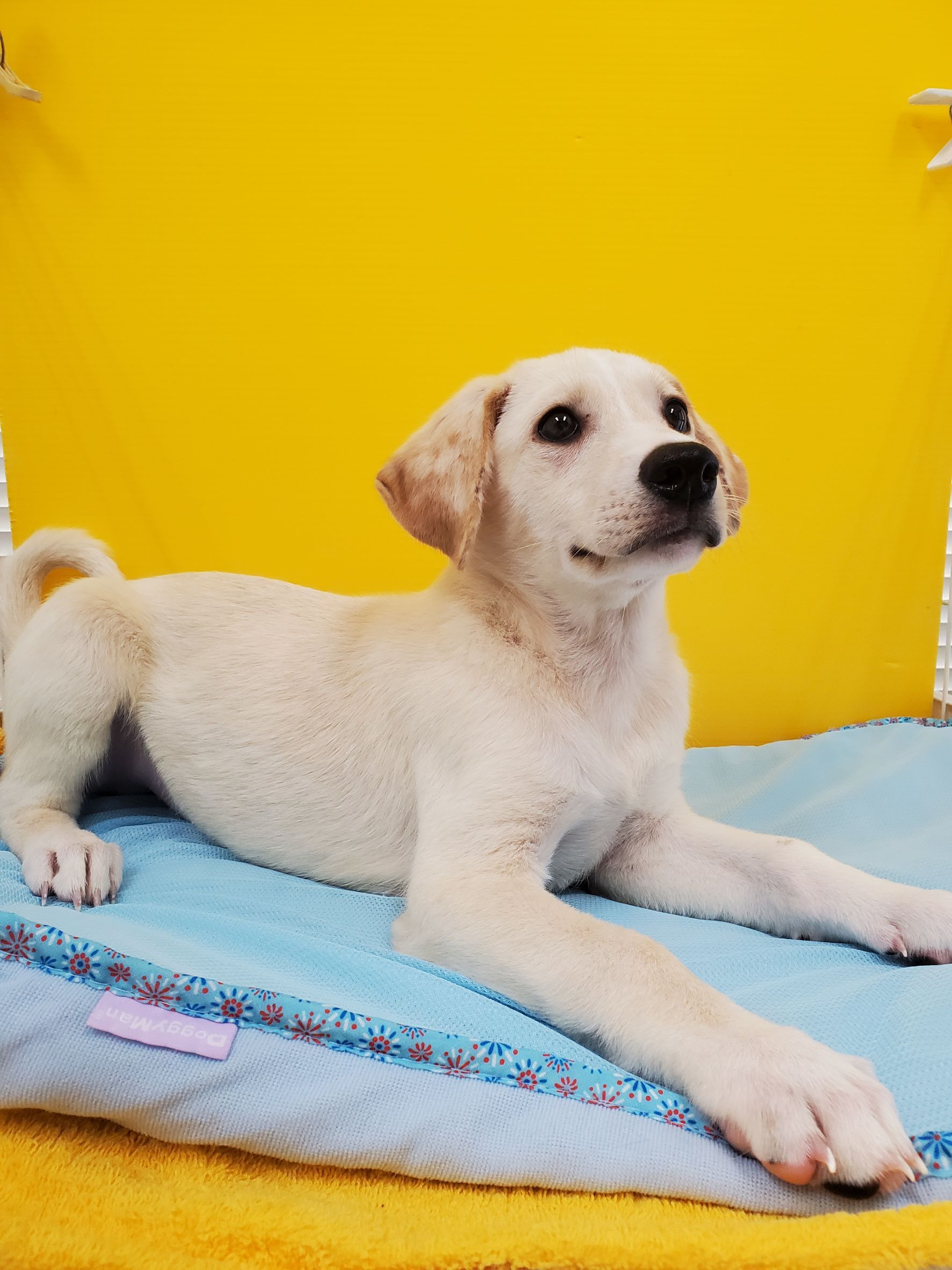No.19864の写真