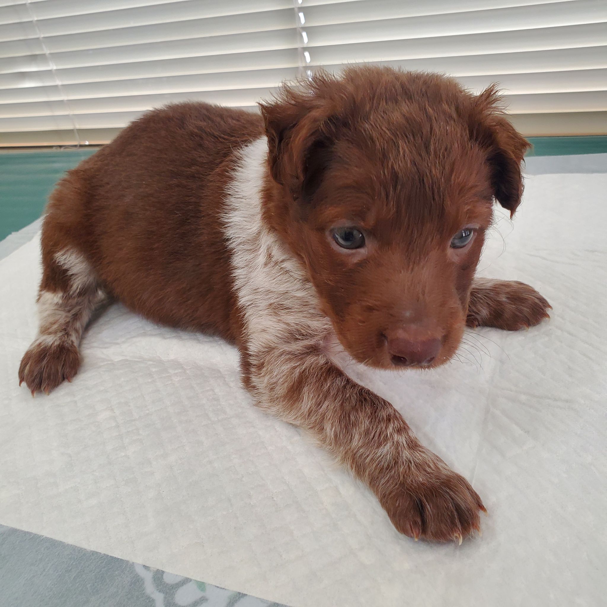 No.19955の写真