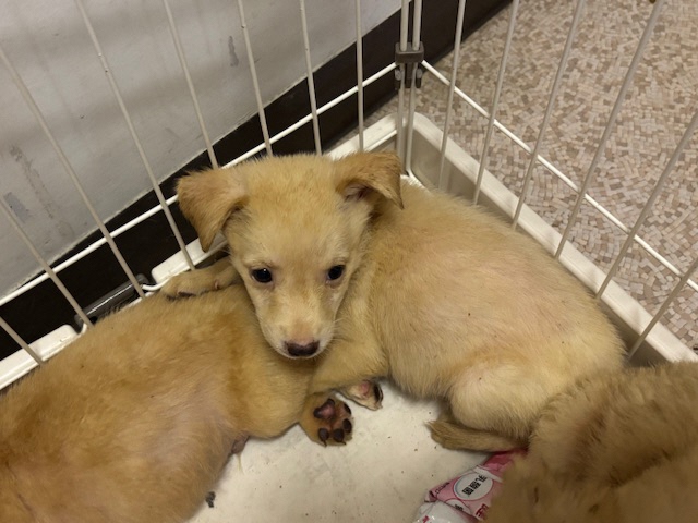 No.19914の写真