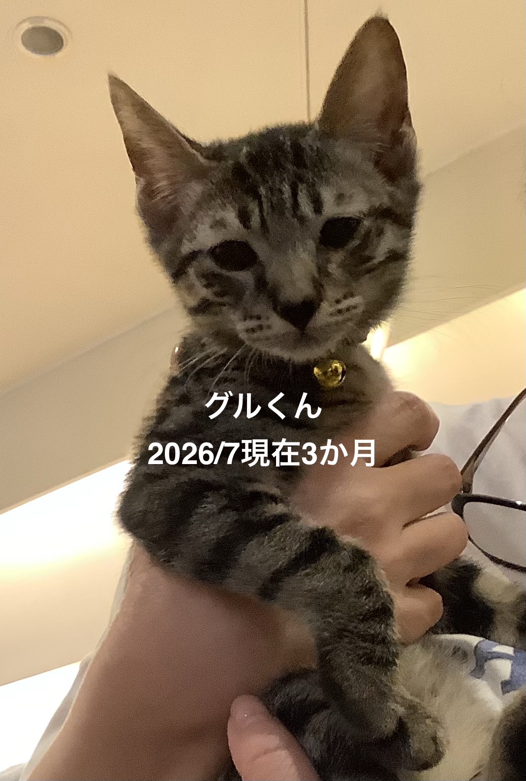 No.19889の写真