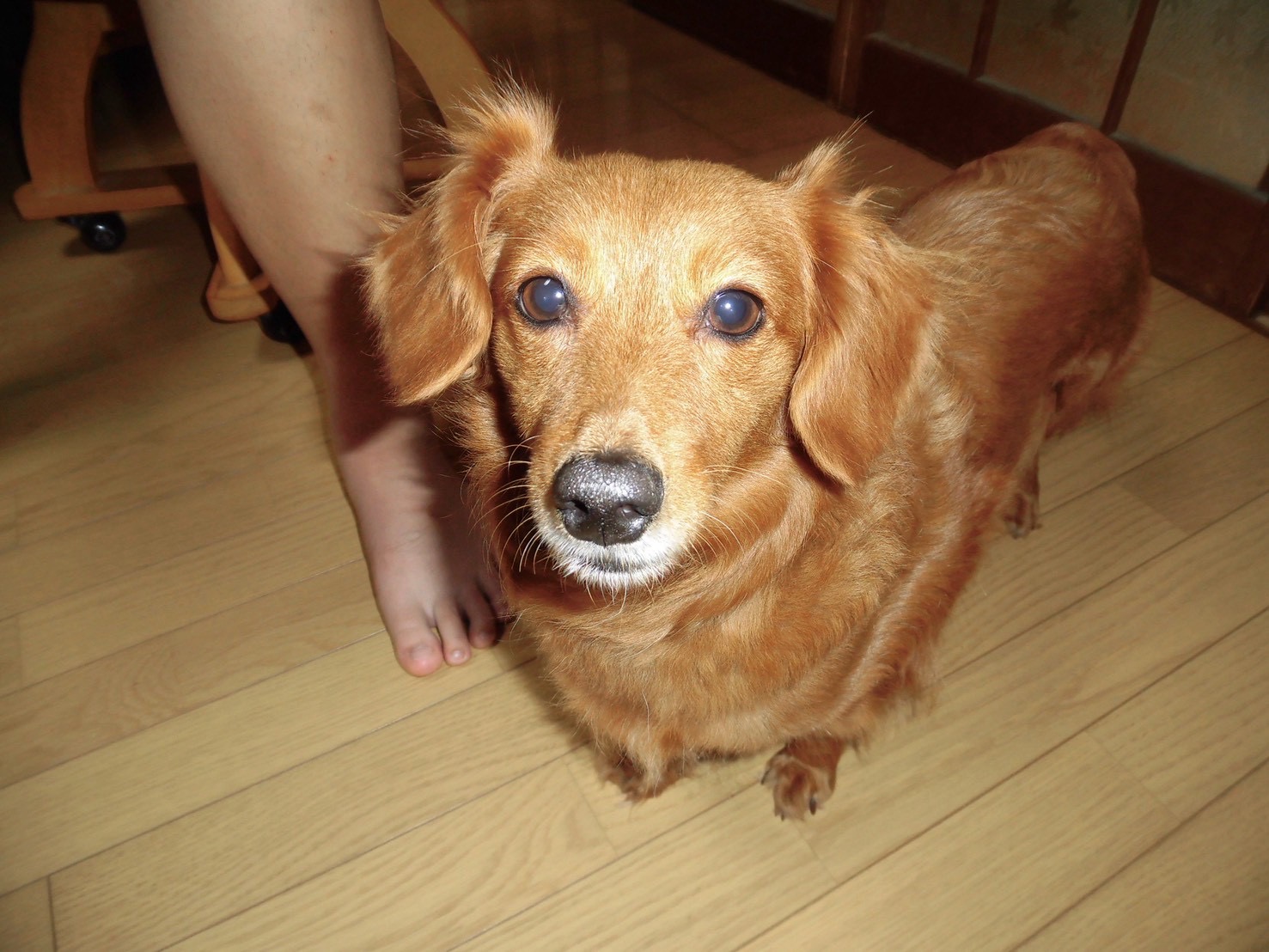 No.19930の写真