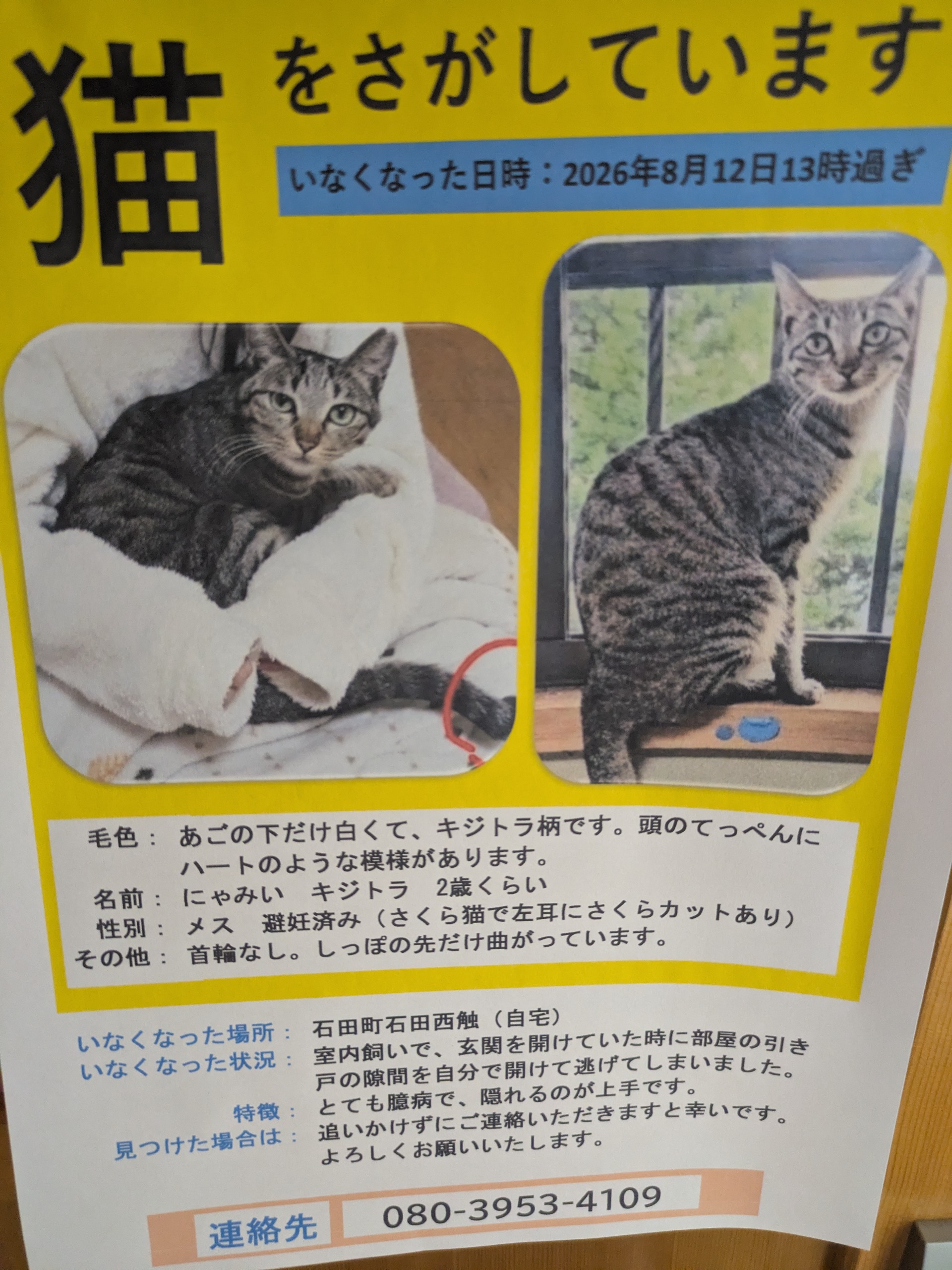 No.19946の写真
