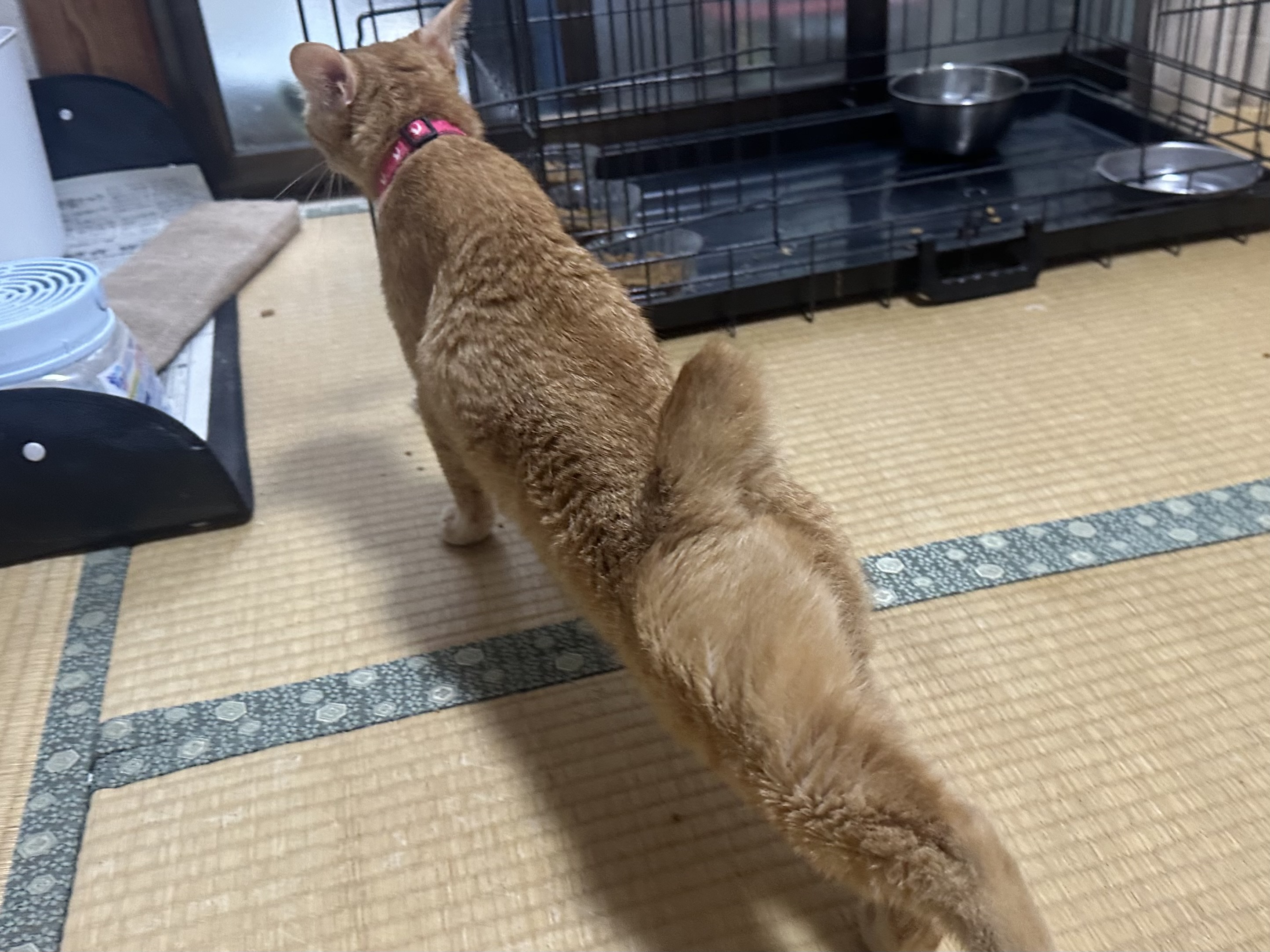 No.19963の写真