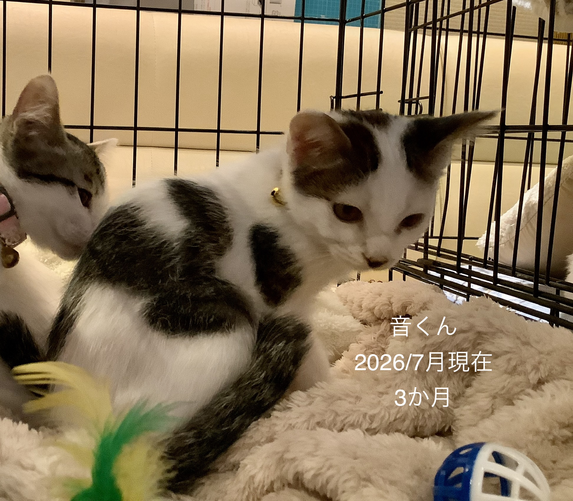 No.19879の写真