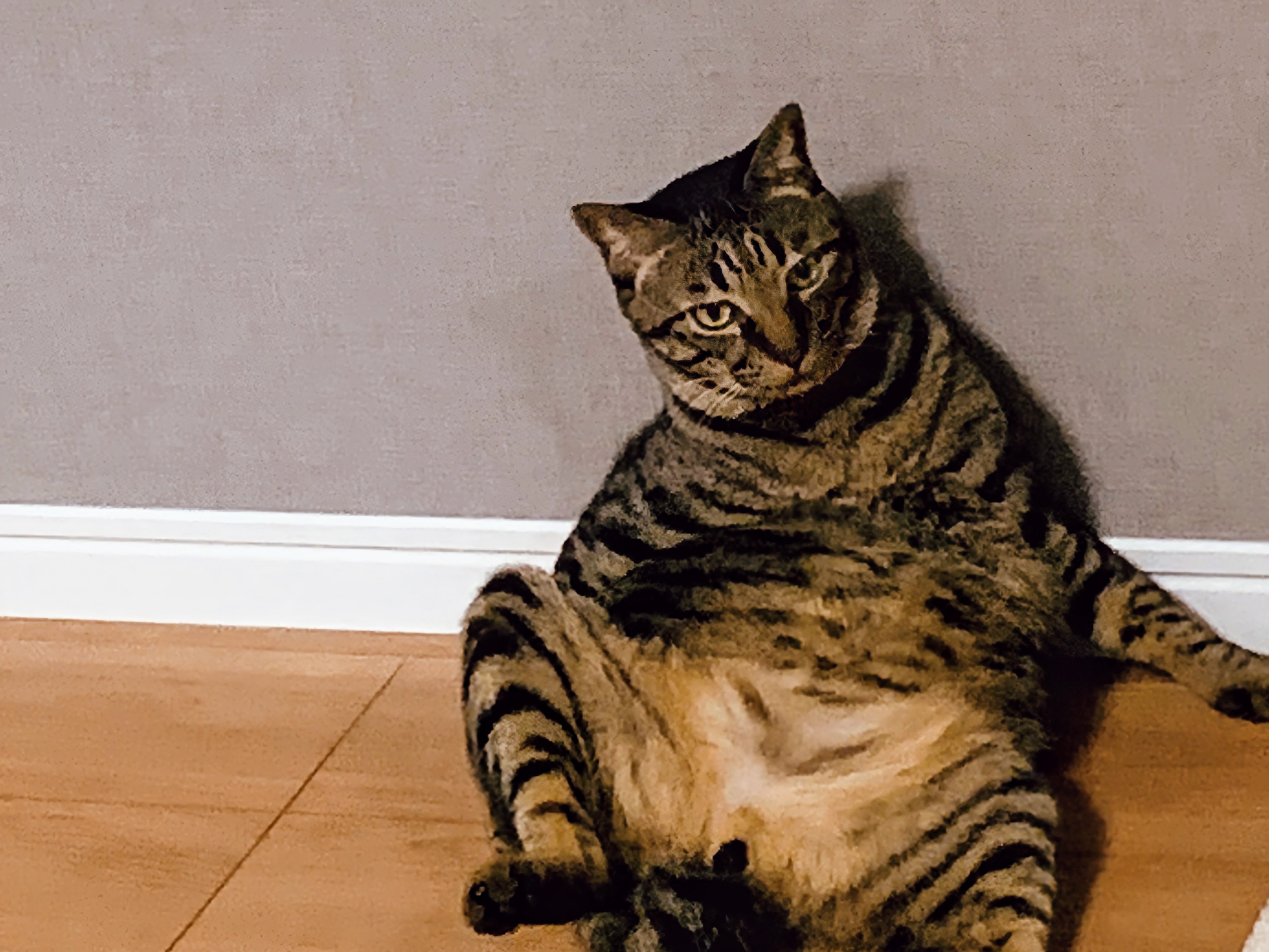 No.19965の写真