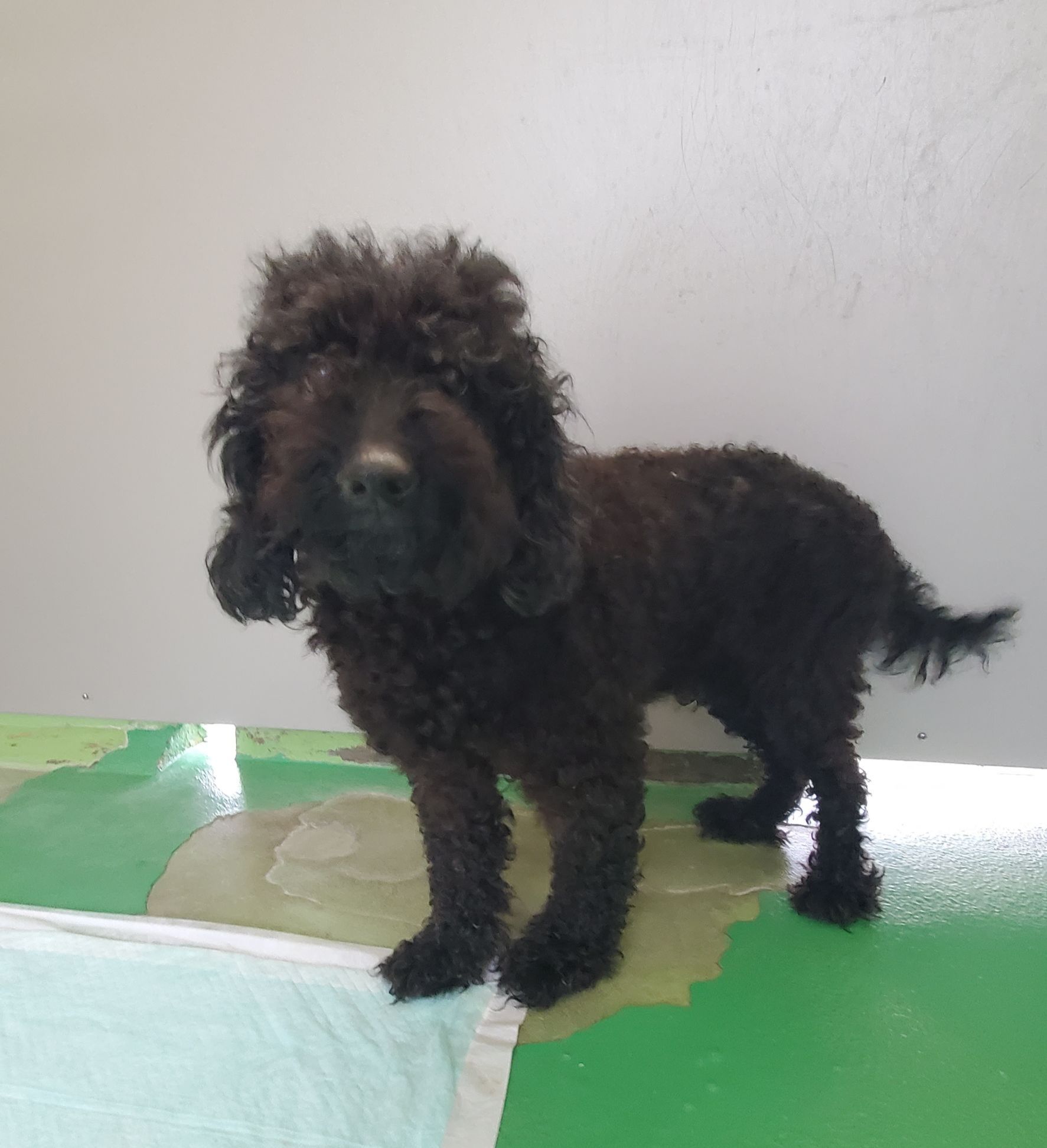 No.20006の写真