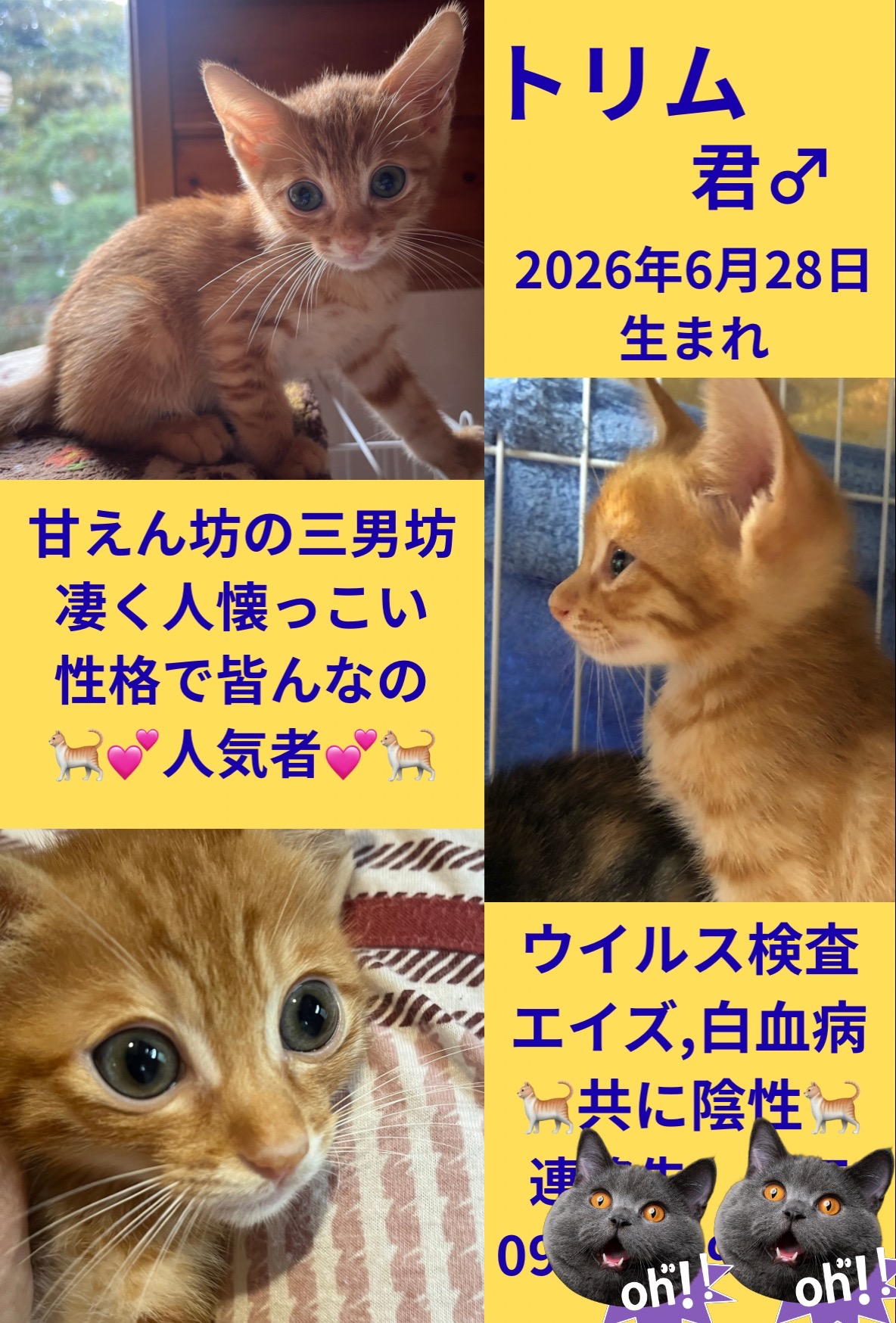 No.19989の写真