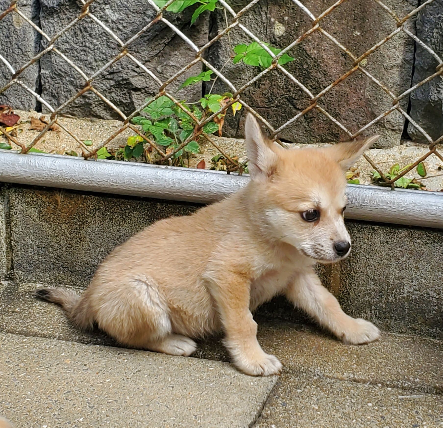 No.20123の写真