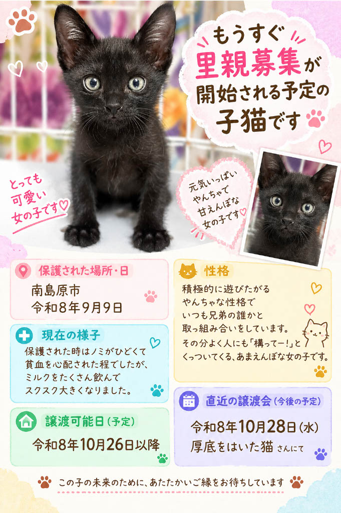 No.20090の写真